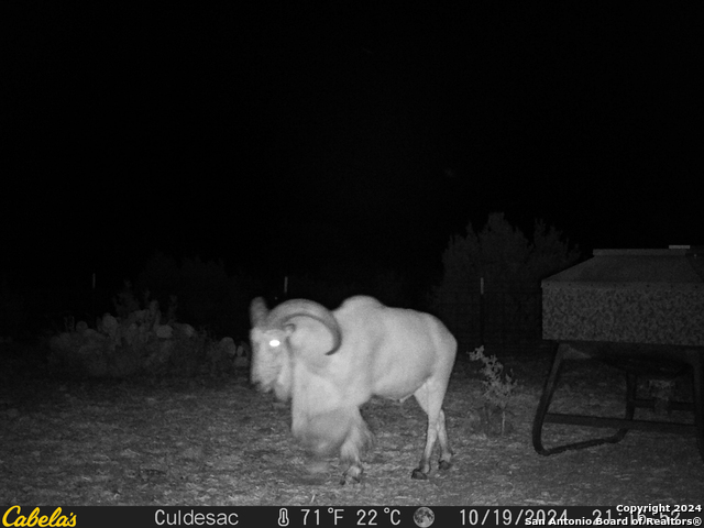 Listing photo id 47 for Tbd Dolan Creek Rd