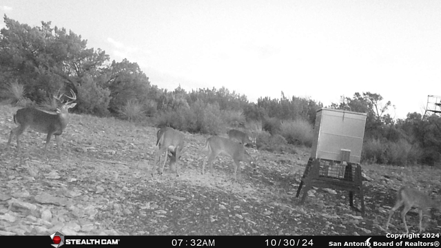 Listing photo id 48 for Tbd Dolan Creek Rd