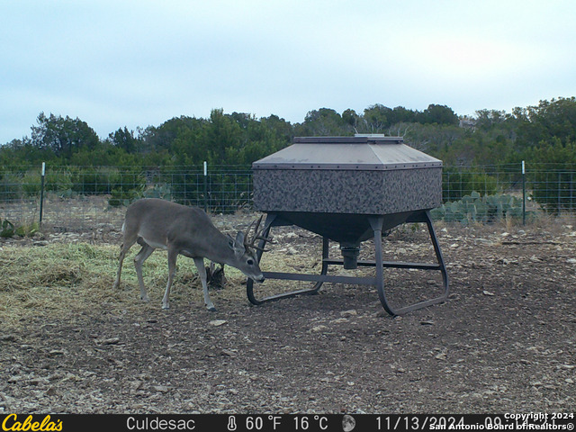 Listing photo id 49 for Tbd Dolan Creek Rd