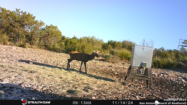 Listing photo id 50 for Tbd Dolan Creek Rd