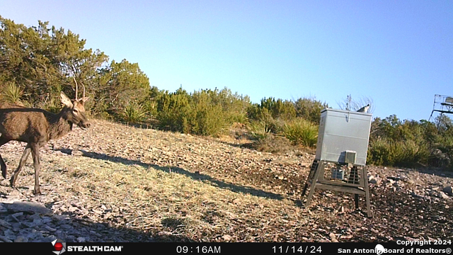 Listing photo id 51 for Tbd Dolan Creek Rd