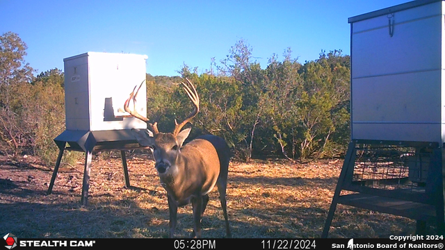 Listing photo id 53 for Tbd Dolan Creek Rd