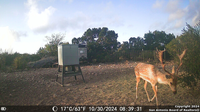Listing photo id 54 for Tbd Dolan Creek Rd