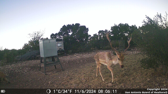Listing photo id 55 for Tbd Dolan Creek Rd