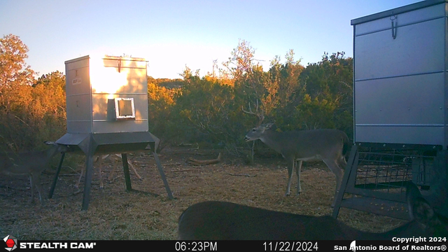 Listing photo id 56 for Tbd Dolan Creek Rd