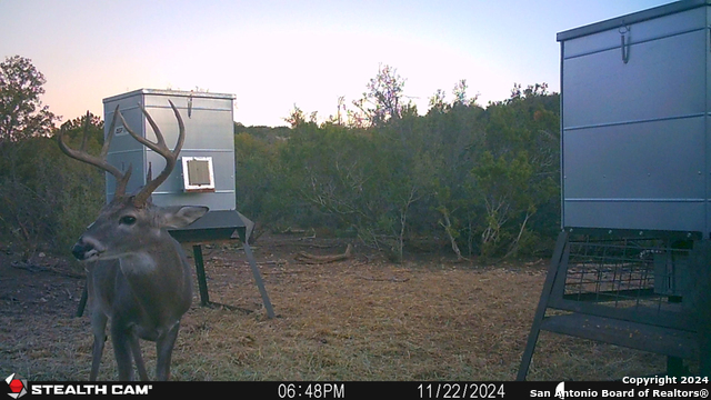 Listing photo id 57 for Tbd Dolan Creek Rd