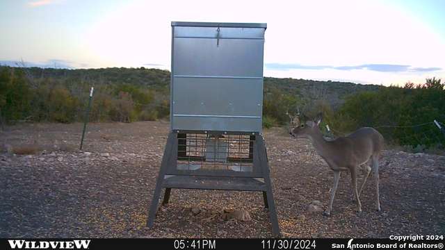 Listing photo id 58 for Tbd Dolan Creek Rd