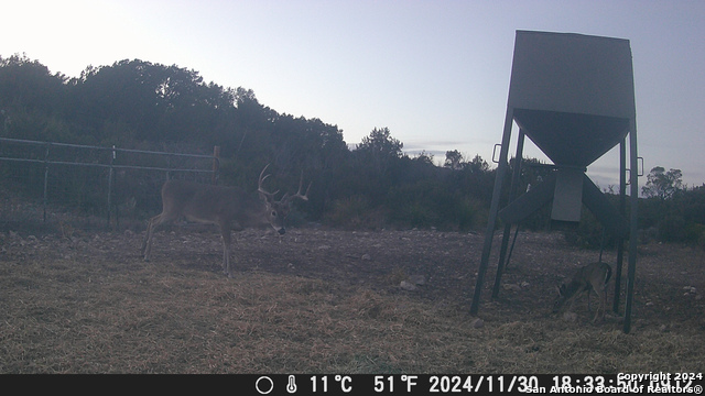 Listing photo id 59 for Tbd Dolan Creek Rd