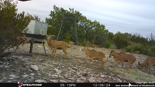 Listing photo id 61 for Tbd Dolan Creek Rd