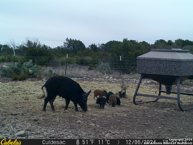Listing photo id 62 for Tbd Dolan Creek Rd