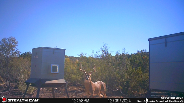 Listing photo id 65 for Tbd Dolan Creek Rd