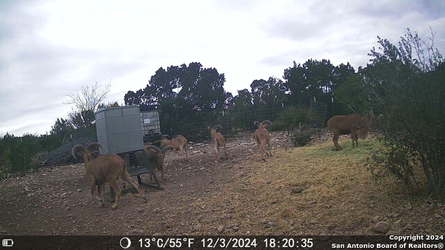 Listing photo id 67 for Tbd Dolan Creek Rd