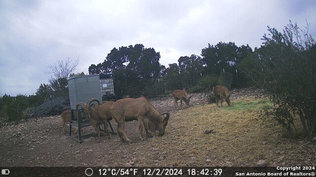 Listing photo id 68 for Tbd Dolan Creek Rd