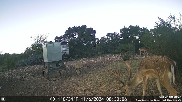 Listing photo id 71 for Tbd Dolan Creek Rd