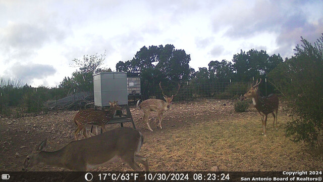 Listing photo id 72 for Tbd Dolan Creek Rd