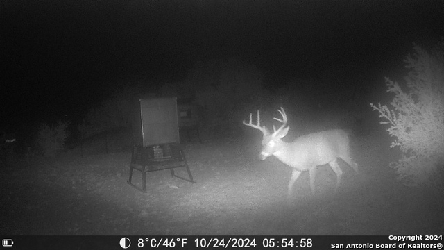 Listing photo id 74 for Tbd Dolan Creek Rd