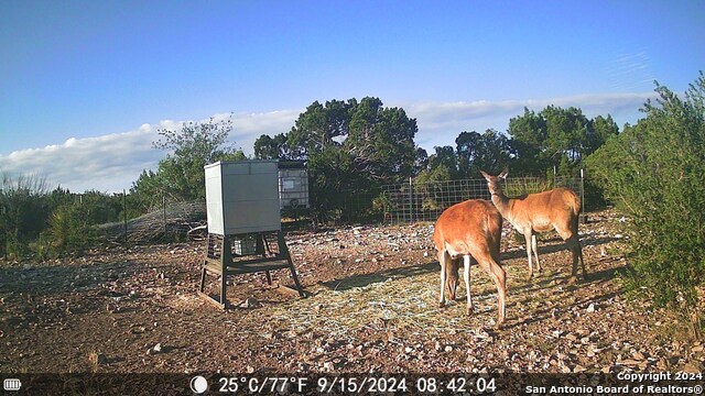 Listing photo id 75 for Tbd Dolan Creek Rd
