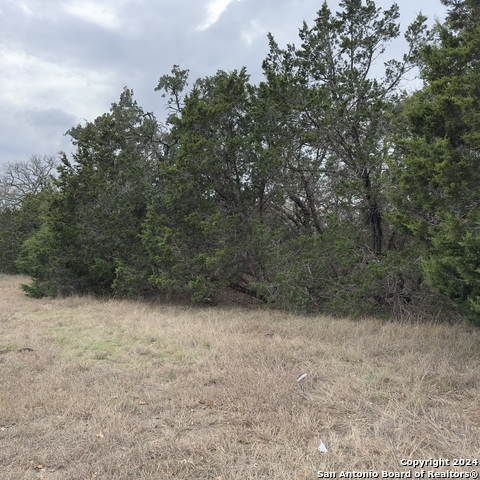 Details for 31003 Acacia Pass, Bulverde, TX 78163