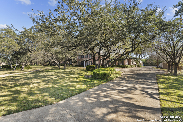 Image 59 of 61 For 108 Canter Gait