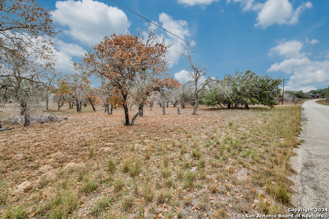 Image 7 of 13 For 1600 County Road 770