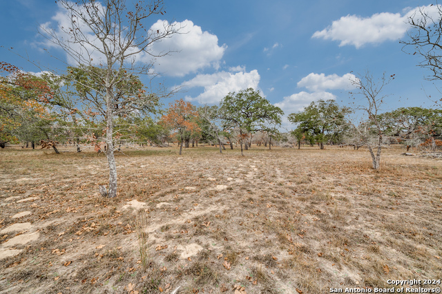 Image 8 of 13 For 1600 County Road 770