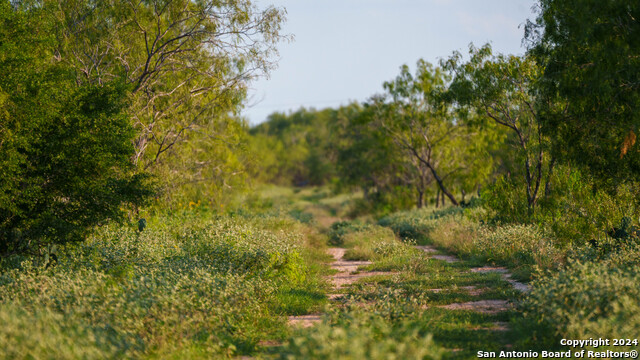 Image 6 of 20 For 000 Leal Road