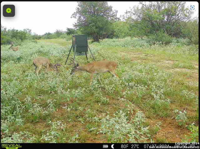 Image 17 of 20 For 000 Leal Road