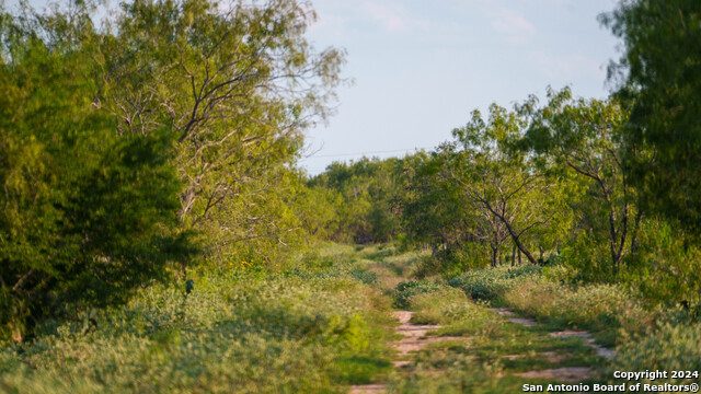 Image 7 of 20 For 000 Leal Road