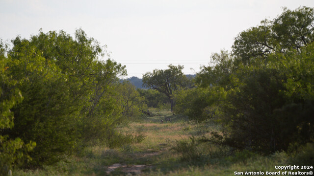 Image 8 of 20 For 000 Leal Road