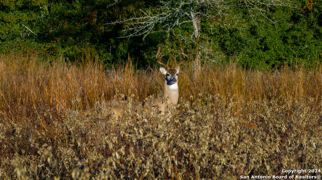 Listing photo id 10 for 800 Hagan Mott Rd