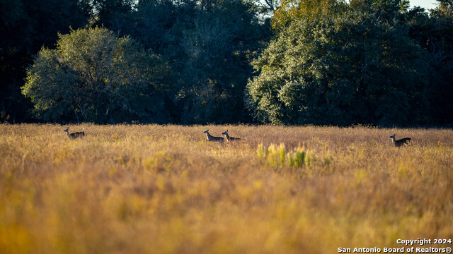 Listing photo id 26 for 800 Hagan Mott Rd