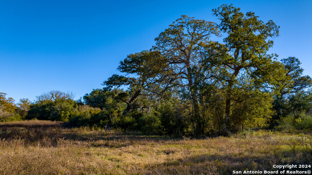 Listing photo id 28 for 800 Hagan Mott Rd