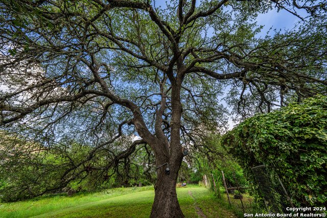Listing photo id 33 for 2041 Fm 1340