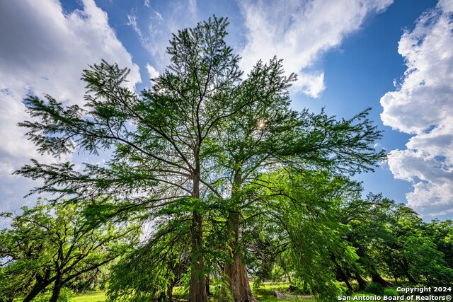 Listing photo id 37 for 2041 Fm 1340