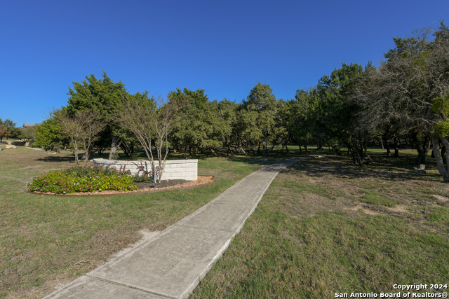 Image 36 of 41 For 24307 Arboles Verdes