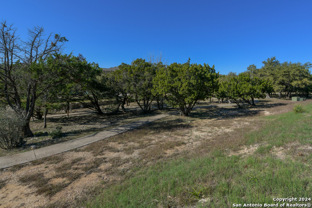 Image 37 of 41 For 24307 Arboles Verdes