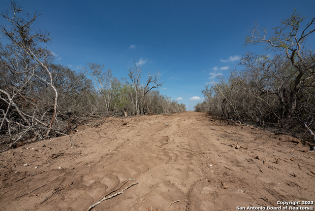 Image 9 of 85 For 750 County Road 159