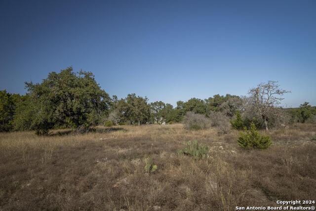 Listing photo id 25 for 6511 Fm 311  