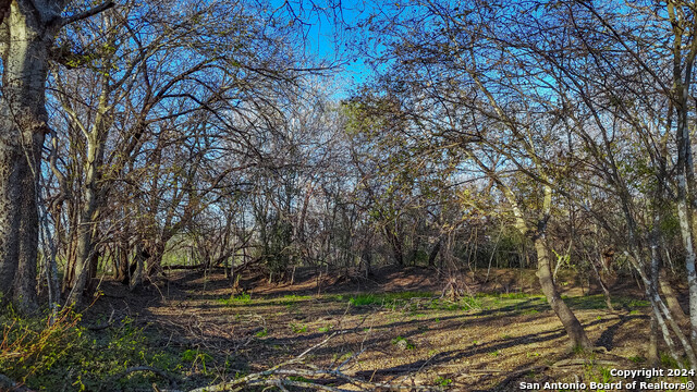 Listing photo id 22 for Tbd Highway 1604