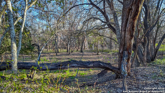 Listing photo id 23 for Tbd Highway 1604