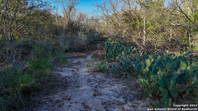 Listing photo id 26 for Tbd Highway 1604
