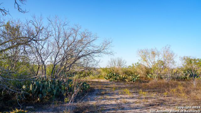 Listing photo id 1 for Tbd Highway 1604