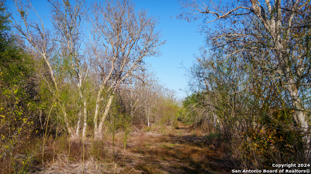 Listing photo id 31 for Tbd Highway 1604
