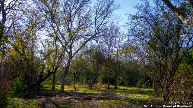 Listing photo id 35 for Tbd Highway 1604