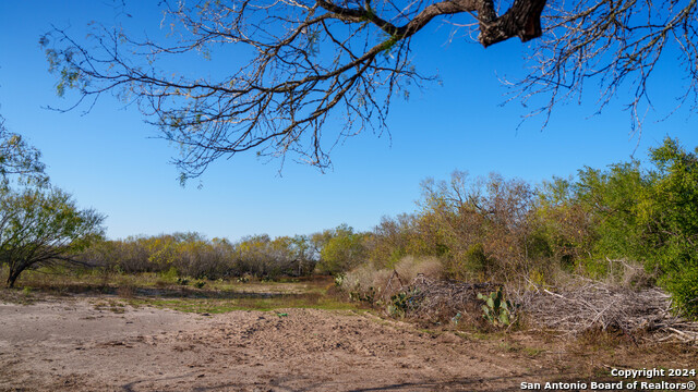 Listing photo id 36 for Tbd Highway 1604