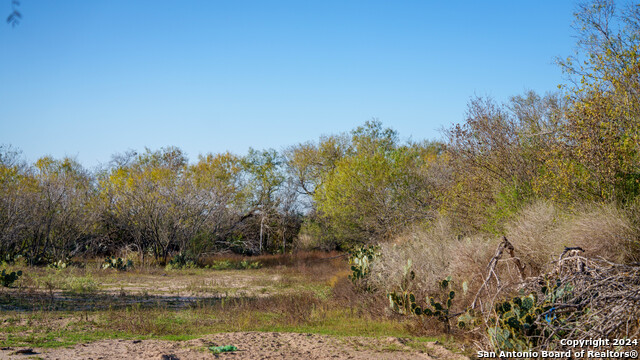 Listing photo id 37 for Tbd Highway 1604