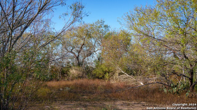 Listing photo id 39 for Tbd Highway 1604