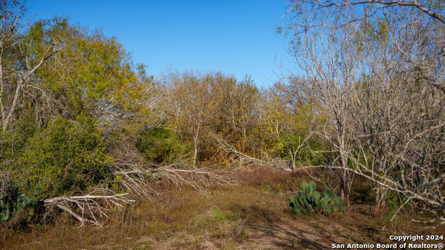 Listing photo id 40 for Tbd Highway 1604