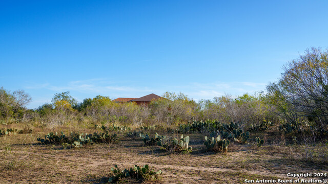 Listing photo id 41 for Tbd Highway 1604