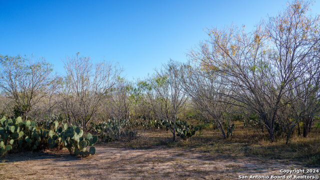 Listing photo id 42 for Tbd Highway 1604